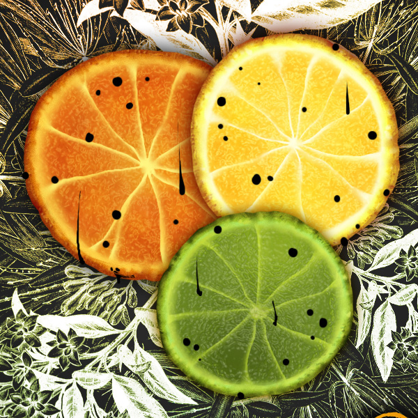 Create a Citrus Fruit Design From Scratch in Photoshop 26