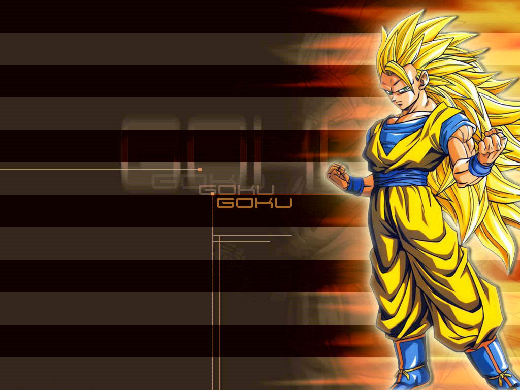 صور دراغون بول زد Wallpaper_DBZ_04g