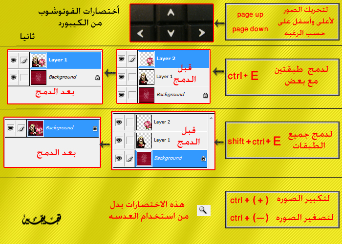 شـــرح مبسط لأدوات الفوتوشوب وأختصاراتها للمبتدئين %D8%A7%D9%84%D8%A7%D8%AE%D8%AA%D8%B5%D8%A7%D8%B1%D8%A7%D8%AA%202