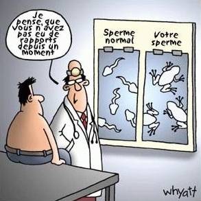 Humour en image du Forum Passion-Harley  ... - Page 32 Dmyy237n