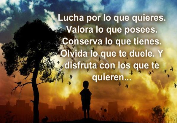 UN DESCANSO EN EL CAMINO - Página 29 LUCHA-POR-LO-QUE-QUIERES