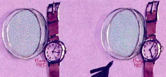 La  Chitine  . Ondes  scalaires  et  Anti gravitation Grebmontres