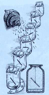 La  Chitine  . Ondes  scalaires  et  Anti gravitation Grebtestfusain