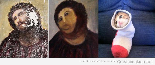 Responde con una Imagen Gato-parecido-ecce-homo-cristo-borja