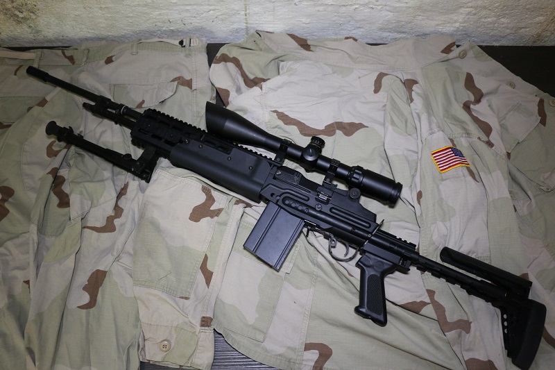 vend M14 EBR g&g M14v