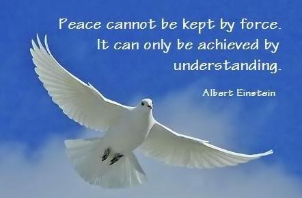 EVERY DAY WISDOM  - صفحة 11 Peace-cannot-be-kept-by-force.-It-can-only-be-achieved-by-understanding.-Albert-Einstein-quote