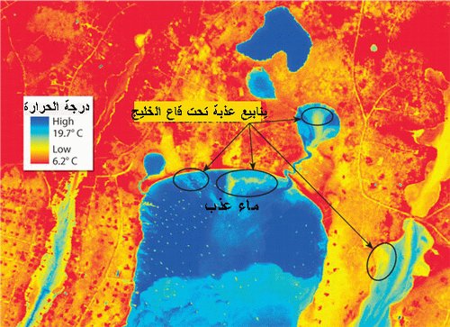 عندما يلتقي النهر العذب بالبحر المالح 1201987058river_meet_see_02