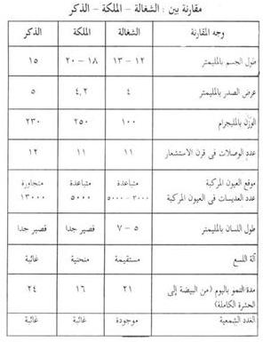 الإعجاز العلمى في قوله تعالى: فَاسْلُكِي سُبُلَ ربّكِ ذُلُلاً 12391374886565