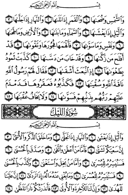 حديقة ملتقى الآحبة في الله الاسلامية - صفحة 7 P595