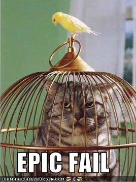 A new beginning. Funny-pictures-bird-cat-cage