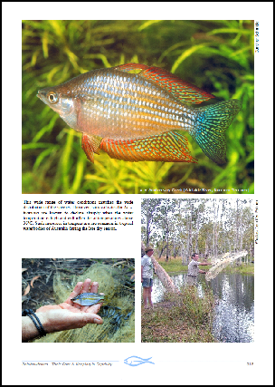 Rainbowfishes ~ Their Care & Keeping in Captivity Ebook_species1