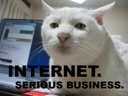 Scott, oh Scott..... Internet-serious-business-cat-thumb