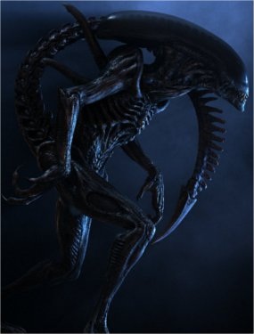 Le jeu des images Alien_mini