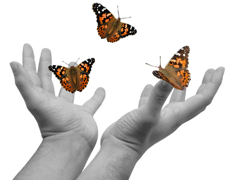 யாருடனும் பேசாமலேயே ஆயிரம் பதிவை தாண்டிய ரமேஷ் அவர்களுக்கு Hands-releasing-butterflies1