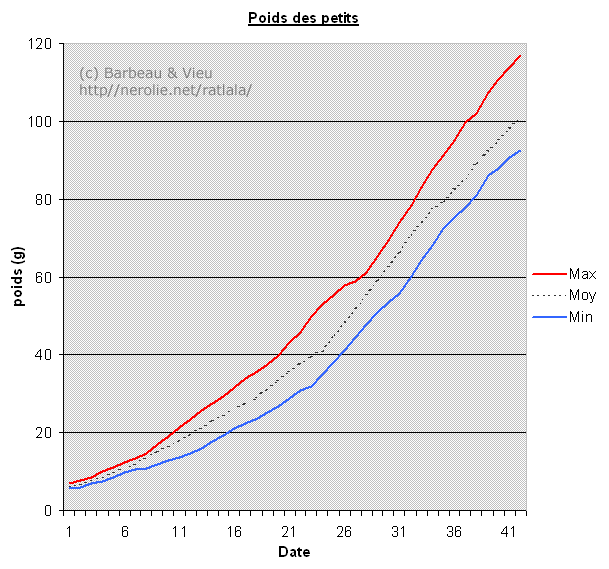 question mensurations et développement ratons Courbepoidspetit