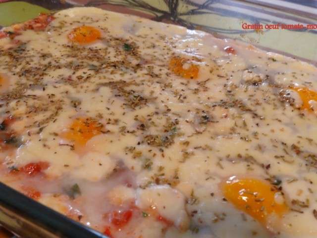 كراتان بالجبن والبيض Gratin-oeuf-tomate-mozzarella.640x480