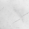 Textures Icons Crazykira-09