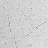 Textures Icons Crazykira-14