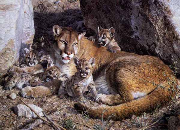 Les artistes Animaliers à travers le monde Brenders_-_rocky_camp_-_cougar_family1.88112211