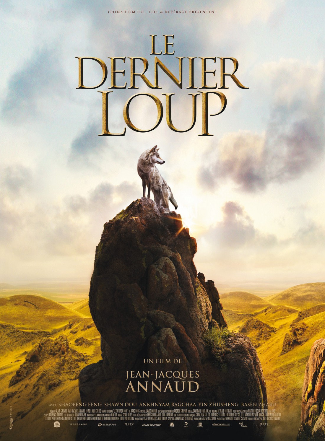 Le dernier loup : un film hommage à la liberté ! Par Morgane Kergoat 13738884