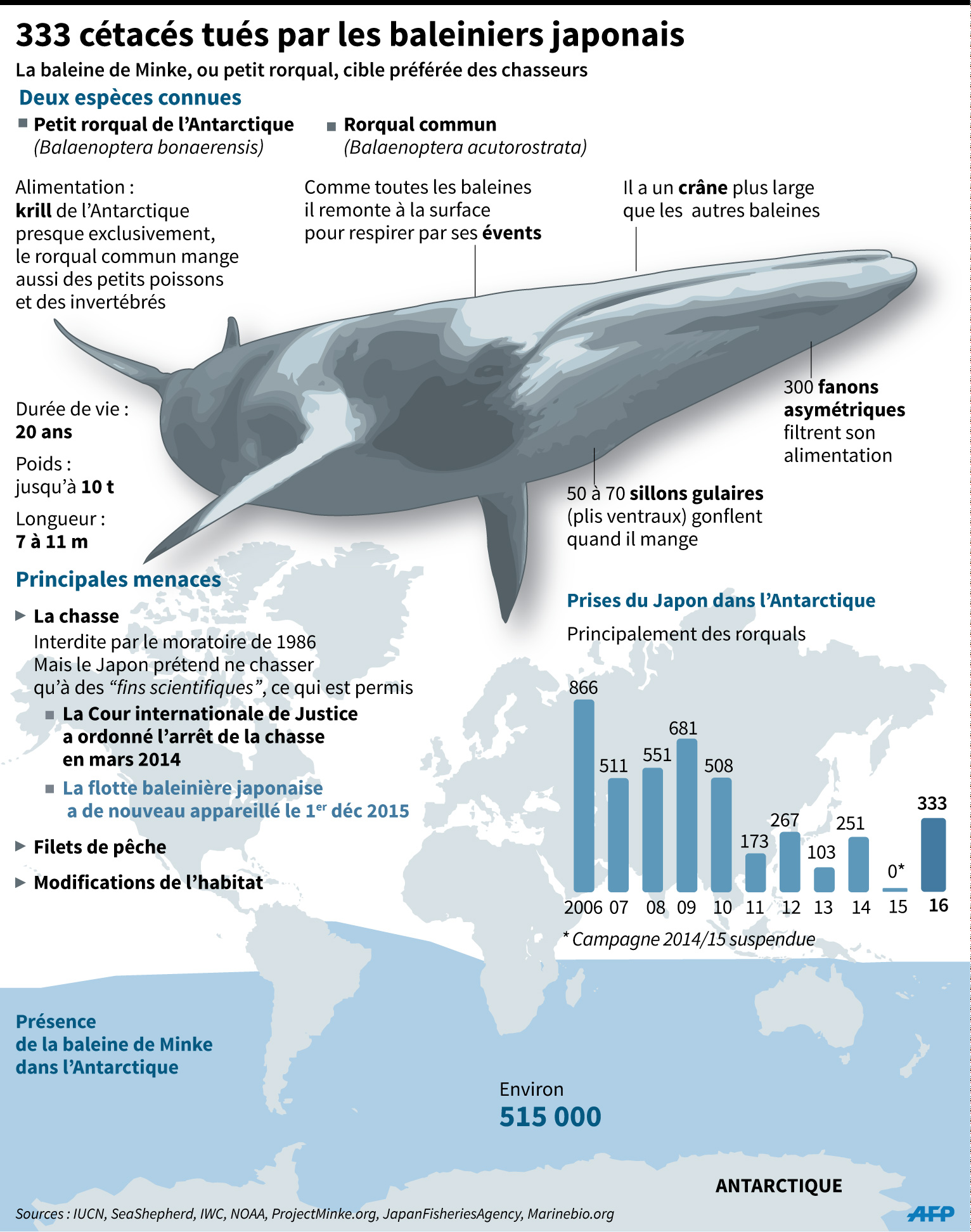Protégeons baleines, manchots et phoques en Antarctique 15000498