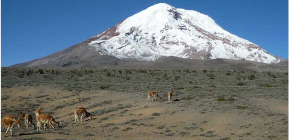 Volcan Chimborazo, en Equateur 15040359