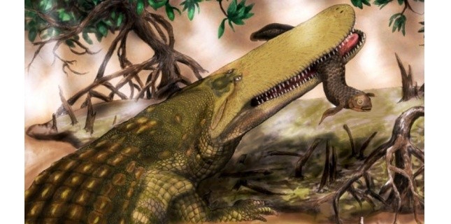 L'ancêtre des crocodiles d'Afrique découvert au Maroc 3040612
