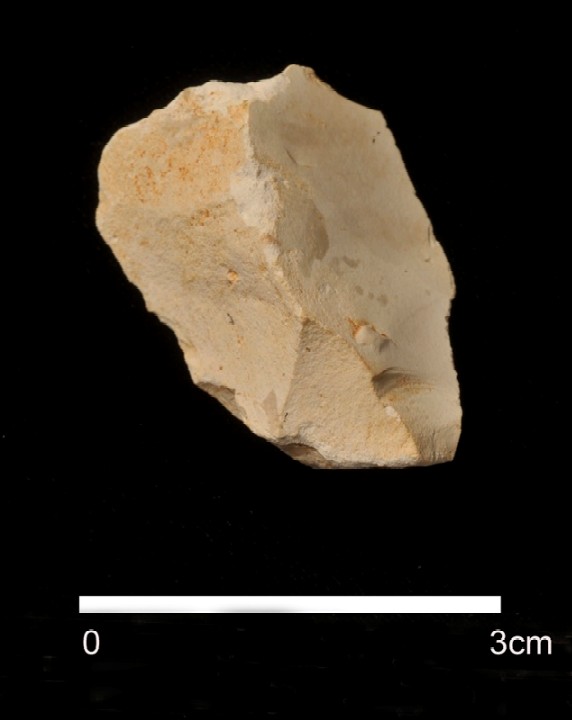 Découverte d'un silex taillé de 1,4 million d'années à Atapuerca 6155091