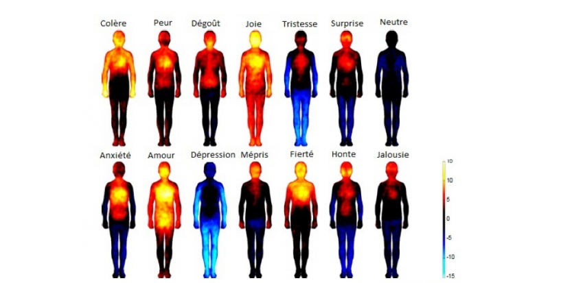 Notre corps traduit nos émotions 6818711-les-zones-du-corps-humain-qui-reagissent-aux-emotions