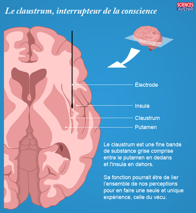 Découverte d'un bouton on/off pour la conscience  7505680