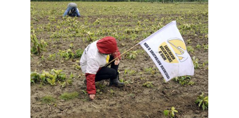 Des ONG mettent en garde l'UE contre le risque d'une pensée unique scientifique 7936221-des-ong-mettent-en-garde-l-ue-contre-le-risque-d-une-pensee-unique-scientifique