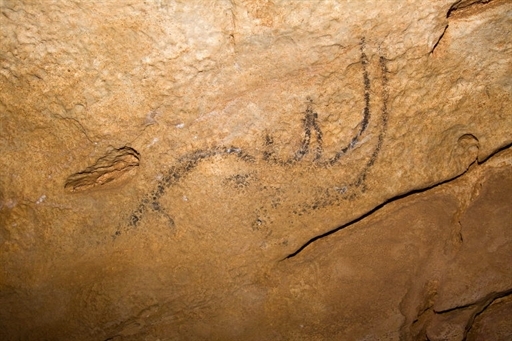 dessins préhistoriques découverts en Roumanie 986096