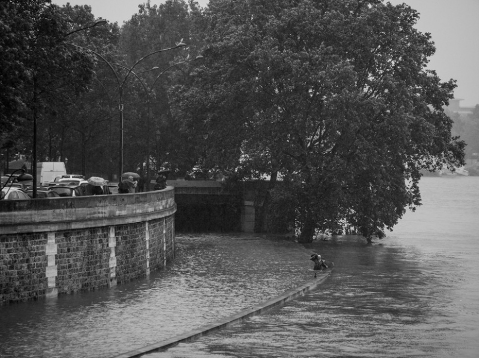  L'acte héroïque d'un jeune homme dans la Seine en crue (Photos) 15205843