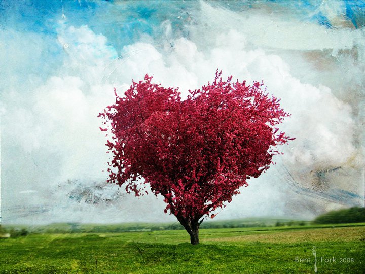 la nature a du coeur (jeu) Arbre-coeur