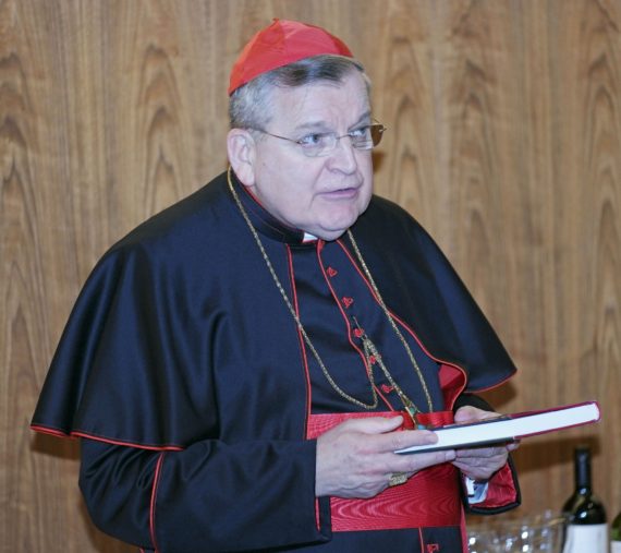 Le cardinal Burke  Nouvelle-interview-cardinal-Burke-pape-Fran%C3%A7ois-augmente-confusion-e1523030279676