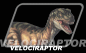 Vlociraptor Dino_velociraptor