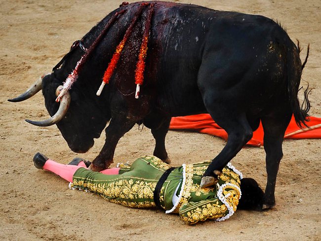 "a dog miaows" and "the laughing bear rides a motorcycle". 674576-best-moments-in-bullfighting