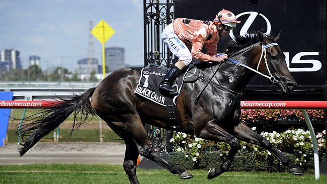 Black Caviar 'as good as Phar Lap' after 14th straight win  611248-luke-nolen-and-black-caviar