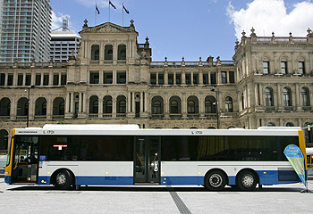 I have finally started - BCC Bus New-bus-for-Brisbane-6448787