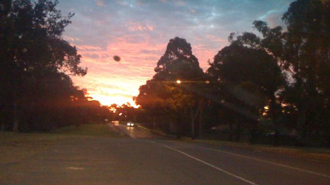 UFO buzzes Sydney 519491-ufo