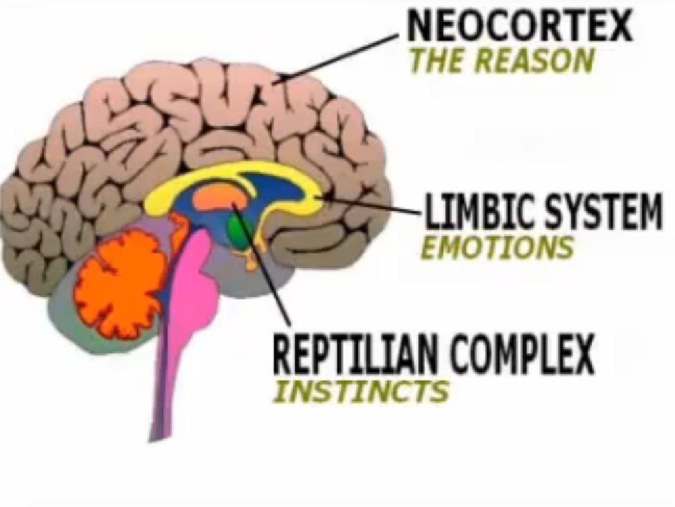  Le Qur'ān : infaillibilité scientifique Brain-reptilian1