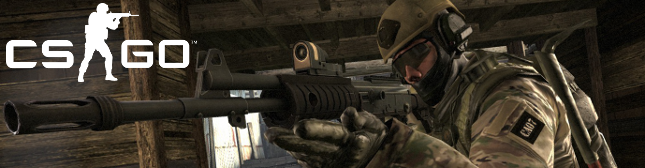 Counter Strike Global Offensive Cs-go