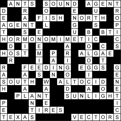 Học từ vựng tiếng Anh cần phải có những tuyệt chiêu Crossword