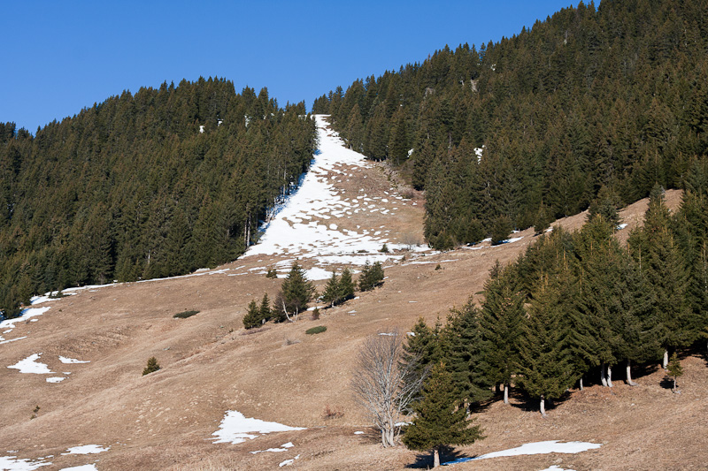 PHOTOS Defjam - Fvrier 2011 - Face Printemps, face Hiver IMG_5540