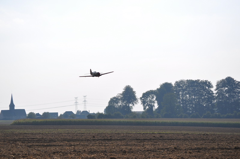 Spécial amoureux des P40 P40_2