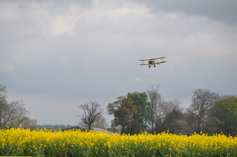 "Se5a" Semi-maquette DuraFly Se5a_5