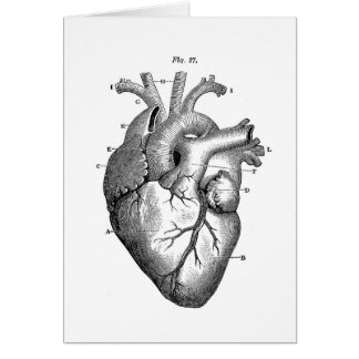 [Pasado]Las cenizas de la Revolución Black_anatomical_heart_card-rcb8b7c3fbd9841adbc3191619ea46e22_xvuat_8byvr_324