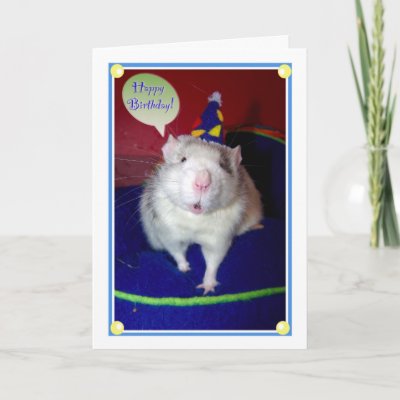 Important announcement about 007jimmy, please read Rat_birthday_card-p137324348073445714tdtq_400