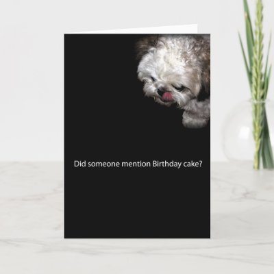 Anniversaire!! Shih_tzu_birthday_card-p137632426133853207qt1t_400