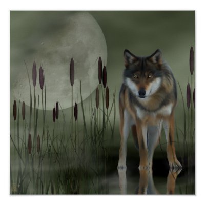 -LUNAS-MOONLIGHT - Página 16 Lobo_de_la_luna_lobo_animales_poster-ra6b0e3709330448f92ab3005a66270cd_7tkh_400